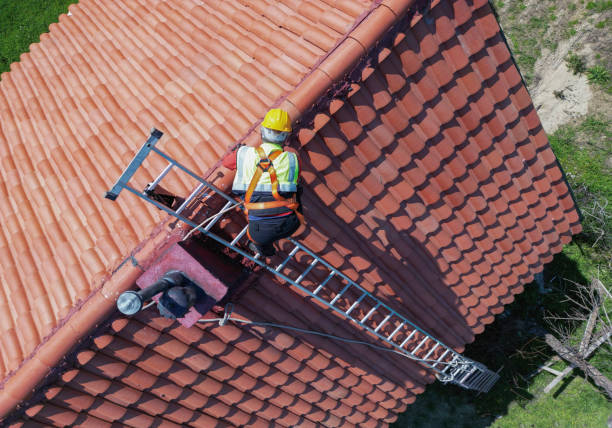 Best Roof Maintenance and Cleaning  in Marshall, TX